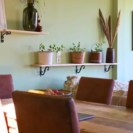 Casa Ikigai Peaceful