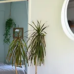 Casa Ikigai Peaceful Kosz