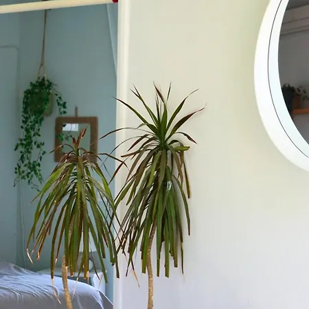 Casa Ikigai Peaceful بلدة كوس