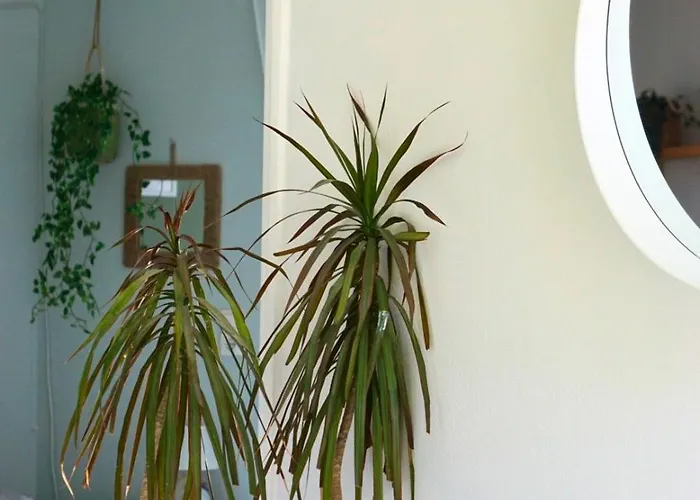 Casa Ikigai Peaceful بلدة كوس