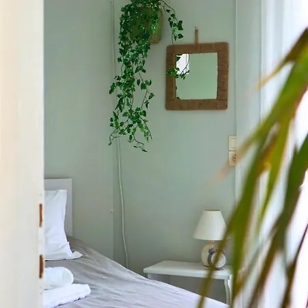 Casa Ikigai Peaceful 科斯镇